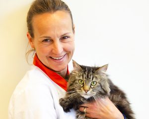 Dierenarts Caroline Stelma met kat in de spreekkamer bij Dierenarts Arnhem
